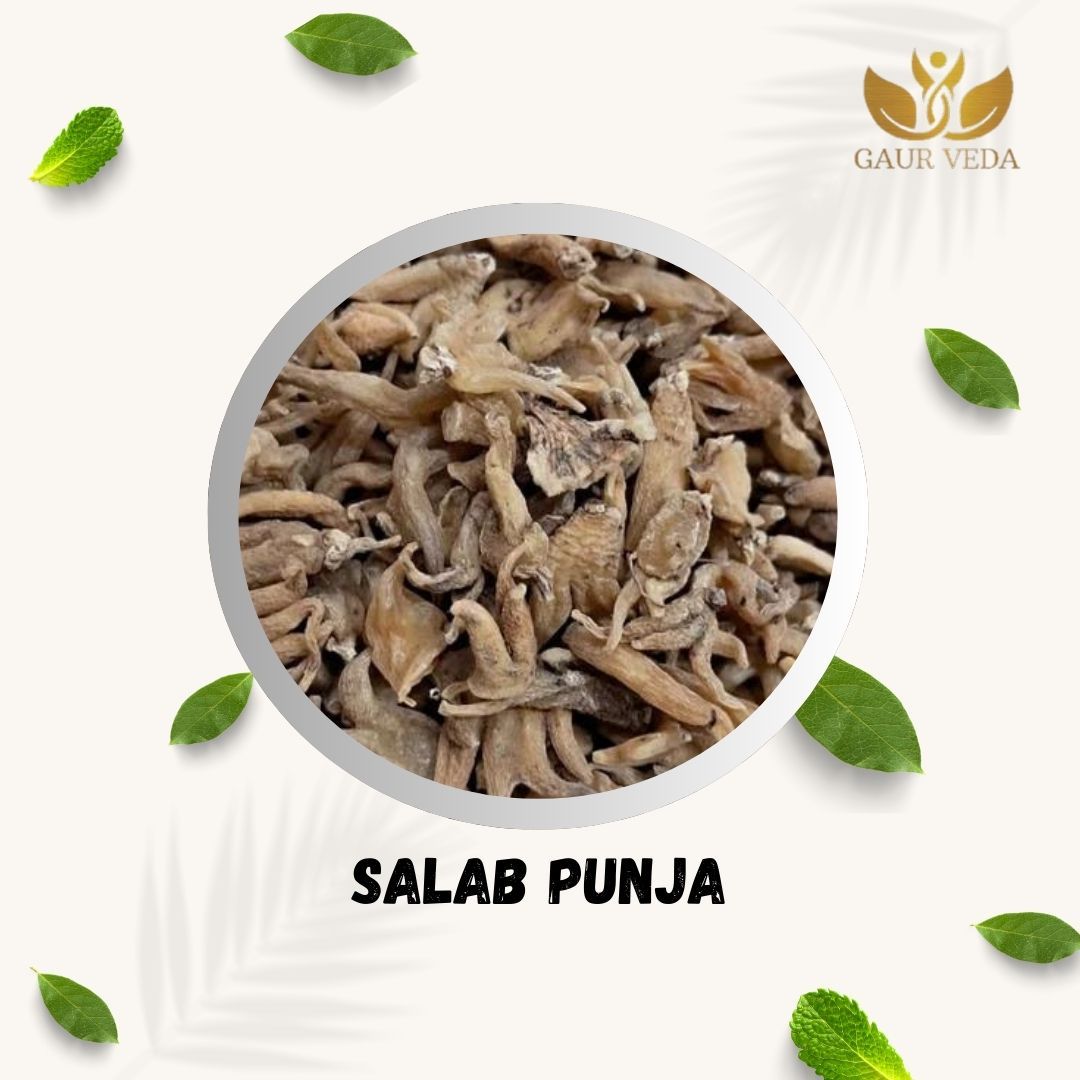GAURVEDA Salab punja 100% Natural & Pure | Traditional Ayurvedic Herb/Seed/Powder | Supports Wellness & Daily Health | Ideal for Herbal Remedies, 25 Grams