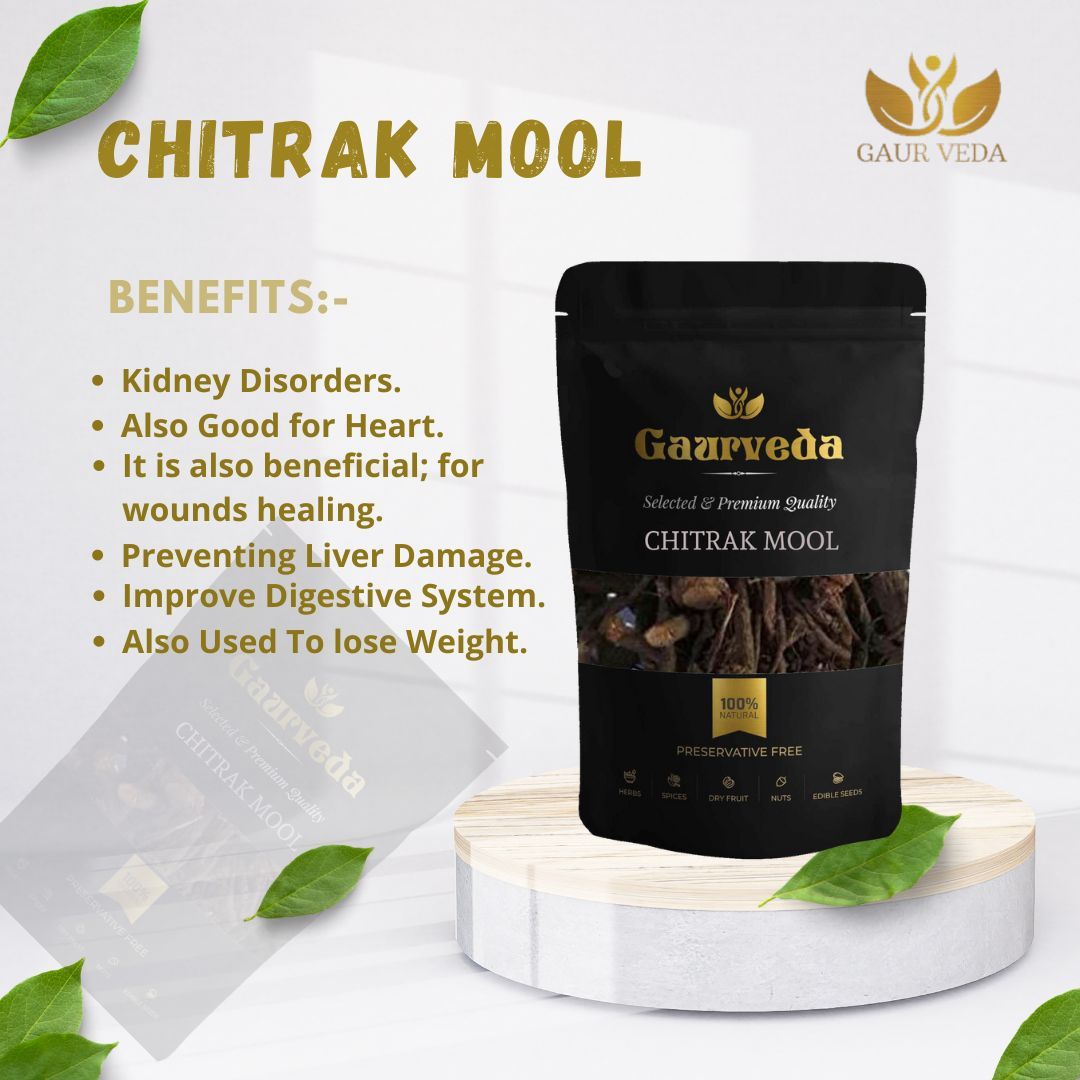 GAURVEDA Chitrakmool 100% Natural & Pure | Traditional Ayurvedic Herb/Seed/Powder | Supports Wellness & Daily Health | Ideal for Herbal Remedies, 100 Grams