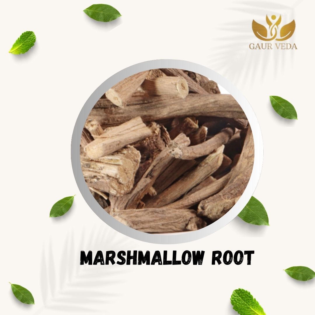 GAURVEDA Resha khatmi 100% Natural & Pure | Traditional Ayurvedic Herb/Seed/Powder | Supports Wellness & Daily Health | Ideal for Herbal Remedies, 100 Grams