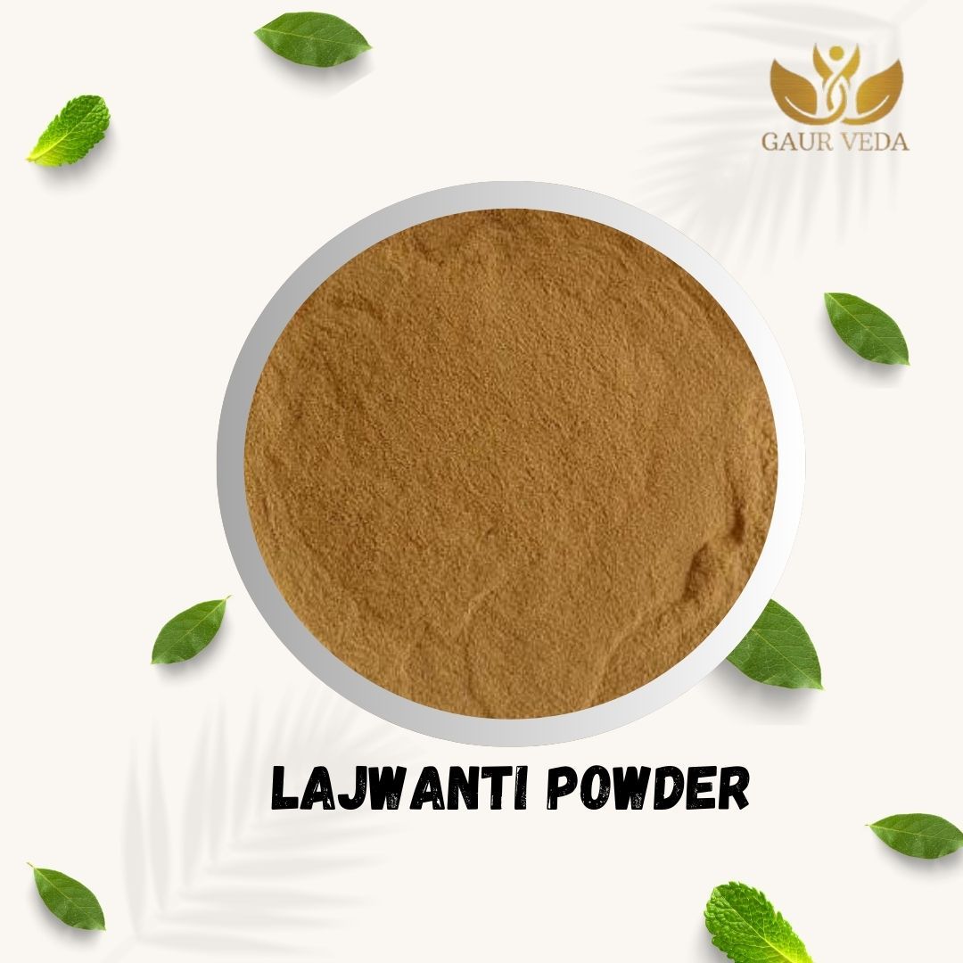 GAURVEDA Lajwanti Powder (Touch Me Not Plant) - Authentic Ayurvedic Herb for Traditional Wellness & Natural Health Support, Pure & Natural | 100 Grams