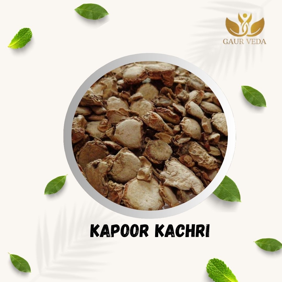 Gaurveda Kapoor Kachri Powder - Kapur Kachri - Ekangi - Hedychium Spicatum - Spiked Ginger Lily - Natural (250 Grams)