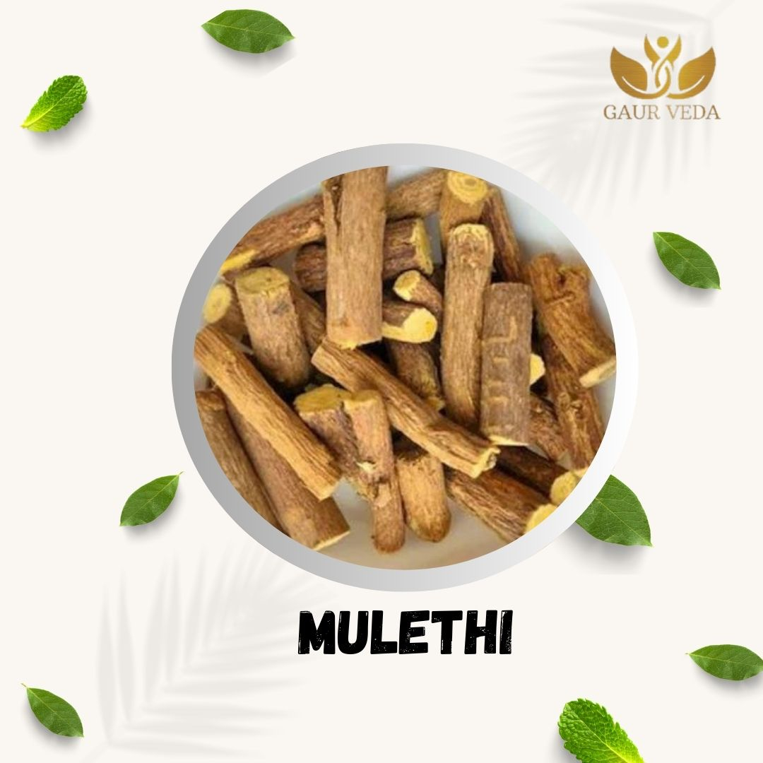 Gaurveda Mulethi Sticks for Eating - Yashtimadhu - Selected - Quality - Mulathi Spl - Jeshthamadha - Licorice Root - Glycyrrhiza Glabra (100)