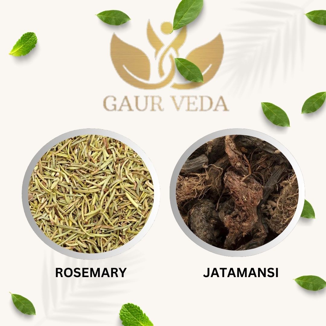 Gaurveda Rosemary and Jatamansi Root Combo, 100 Grams Each, Improves Hair Health, Pure & Natural