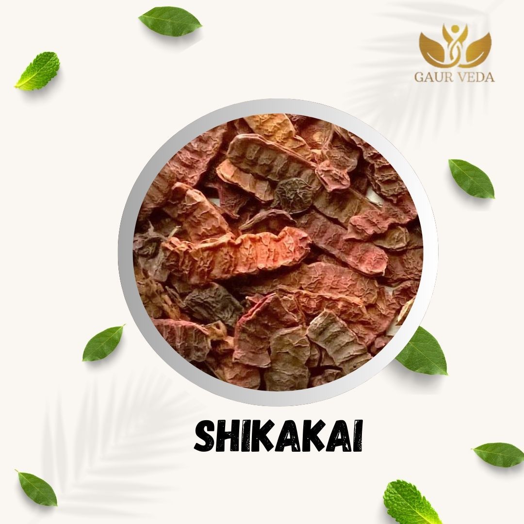 GAURVEDA Shikakai 100% Natural & Pure | Traditional Ayurvedic Herb/Seed/Powder | Supports Wellness & Daily Health | Ideal for Herbal Remedies, 100 Grams
