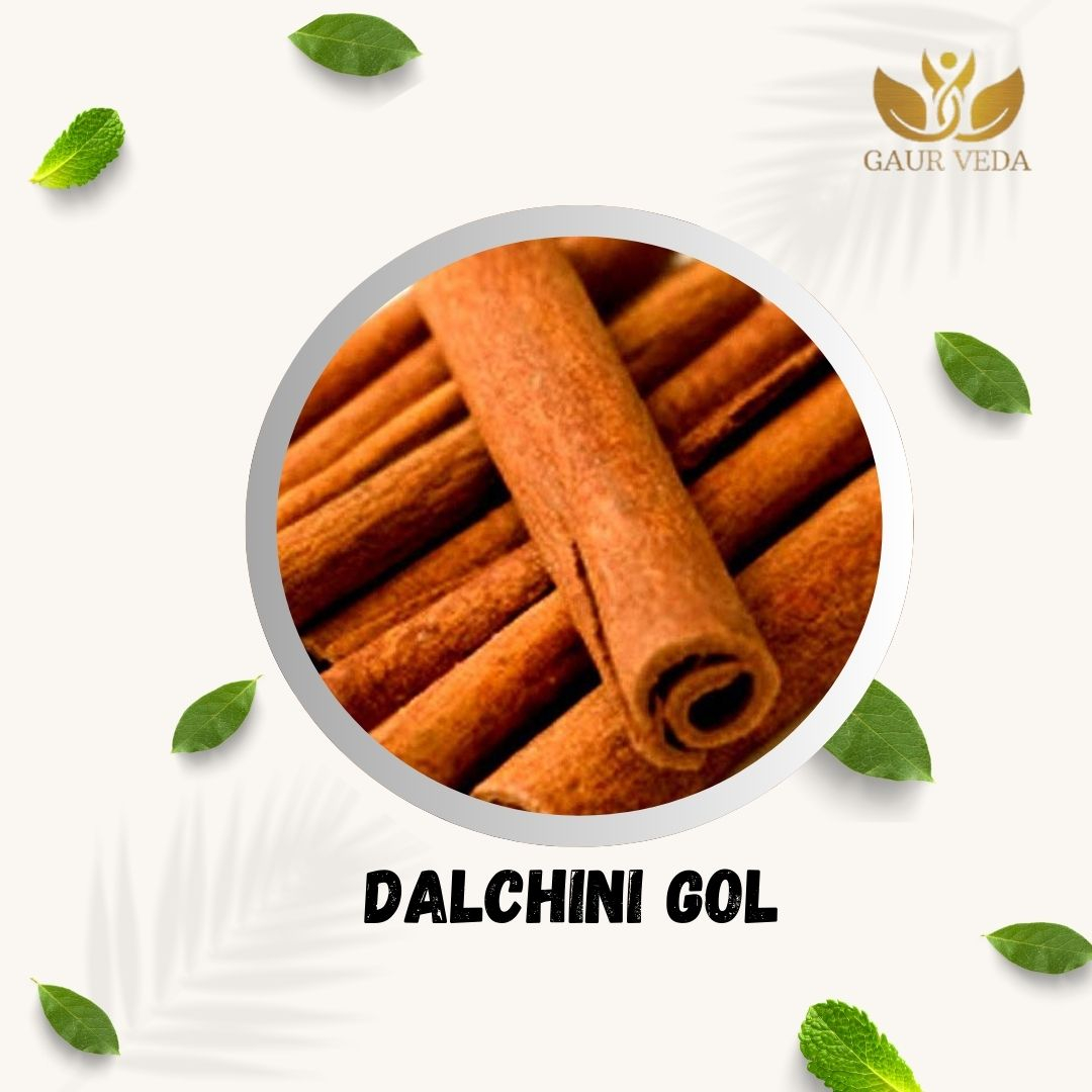 GAURVEDA Dalchini Gol: Authentic Cinnamon Rounds | Spice for Flavorful Indian Cooking & Traditional Remedies - 50g | 100 Grams