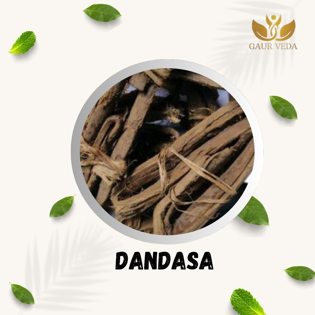 GAURVEDA Dandasa 100% Natural & Pure | Traditional Ayurvedic Herb/Seed/Powder | Supports Wellness & Daily Health | Ideal for Herbal Remedies, 100 Grams