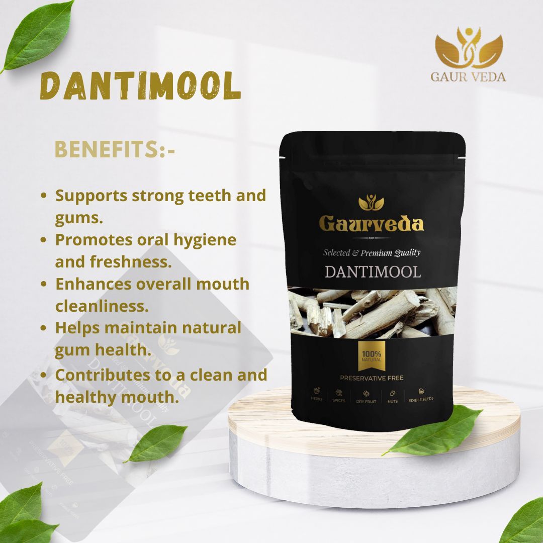 GAURVEDA Dantimool 100% Natural & Pure | Traditional Ayurvedic Herb/Seed/Powder | Supports Wellness & Daily Health | Ideal for Herbal Remedies, 100 Grams