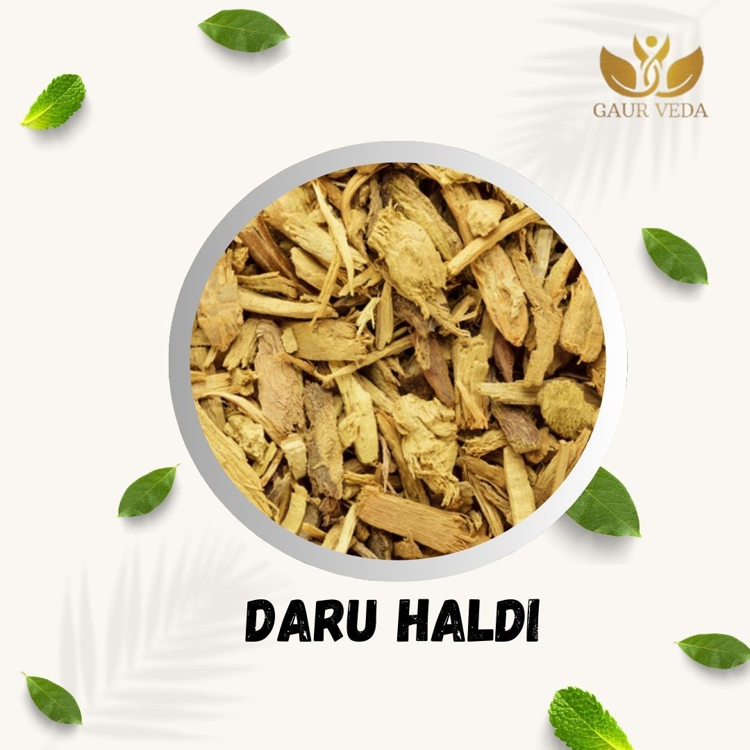 GAURVEDA Daru haldi 100% Natural & Pure | Traditional Ayurvedic Herb/Seed/Powder | Supports Wellness & Daily Health | Ideal for Herbal Remedies, 200 Grams