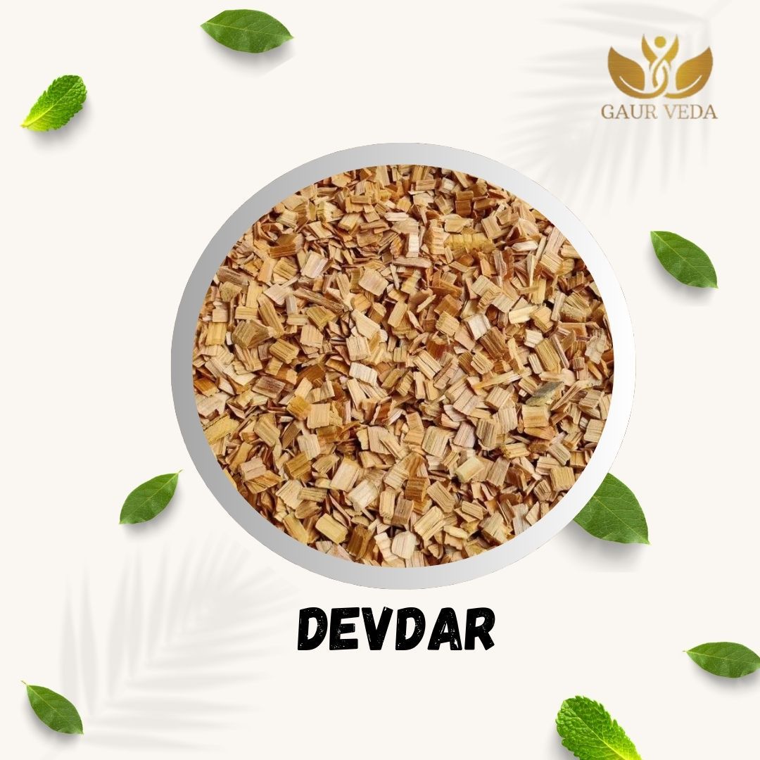 GAURVEDA Devdar 100% Natural & Pure | Traditional Ayurvedic Herb/Seed/Powder | Supports Wellness & Daily Health | Ideal for Herbal Remedies, 200 Grams
