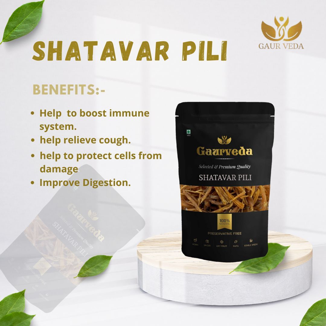 GAURVEDA Shatavar Pili - Shatavar Yellow - Satavar - Shatavari - Asparagus racemosus - Pure & Natural (100)