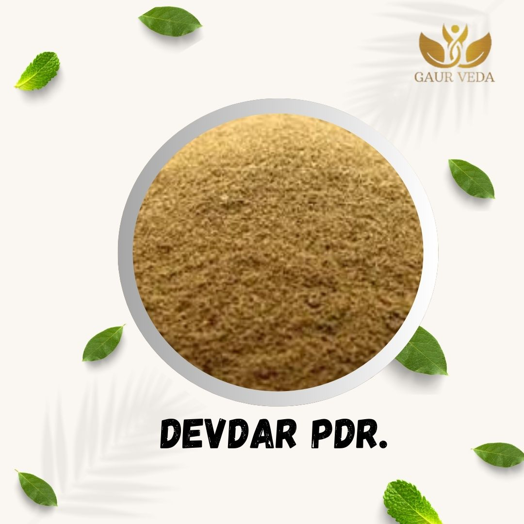 GAURVEDA Devdar Powder 100% Natural & Pure | Traditional Ayurvedic Herb/Seed/Powder | Supports Wellness & Daily Health | Ideal for Herbal Remedies, 200 Grams
