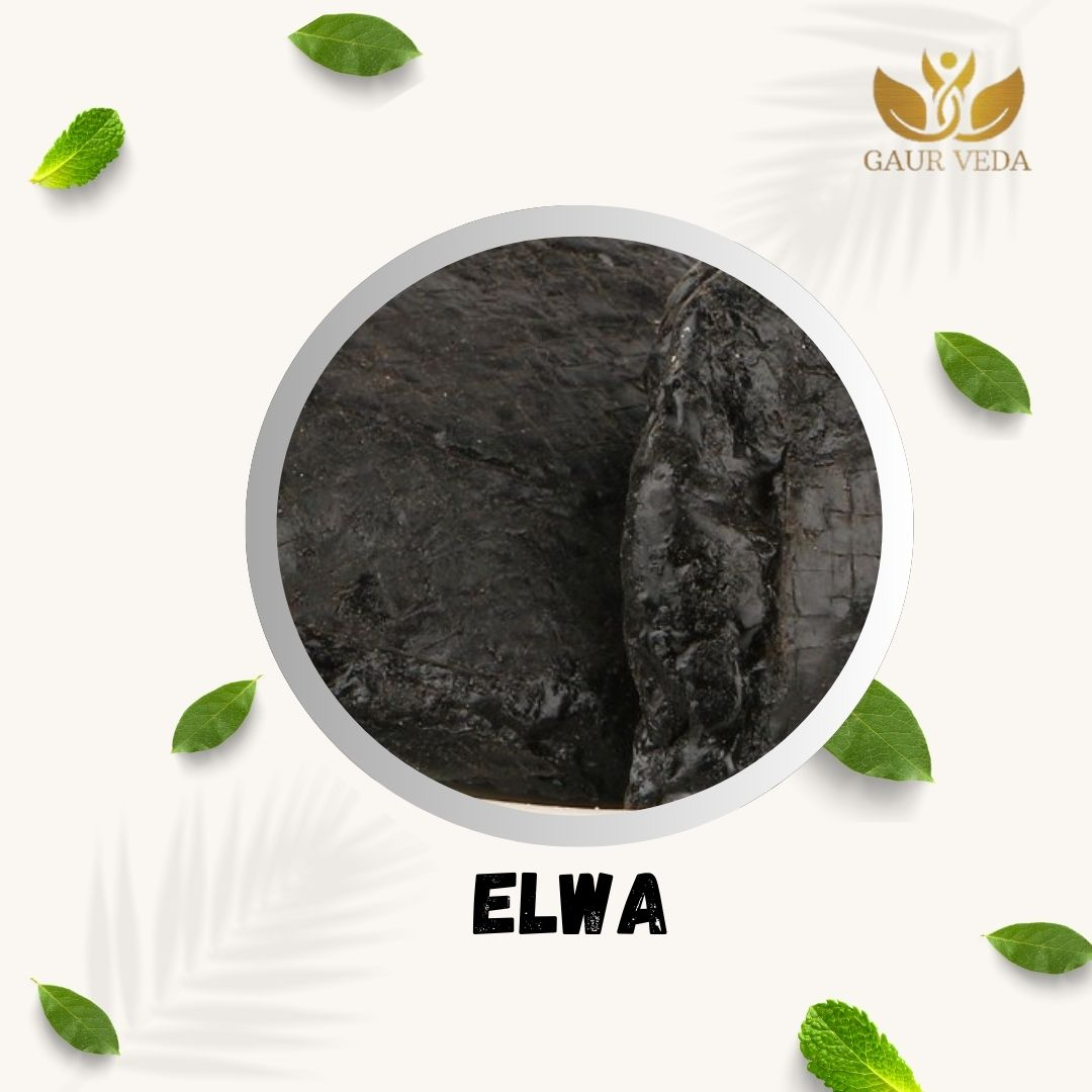 Gaurveda Elwa Asli Spl. - Alva - Aloe Barbadensis - Indian Aloes - Aloevera Gum (100 Grams)