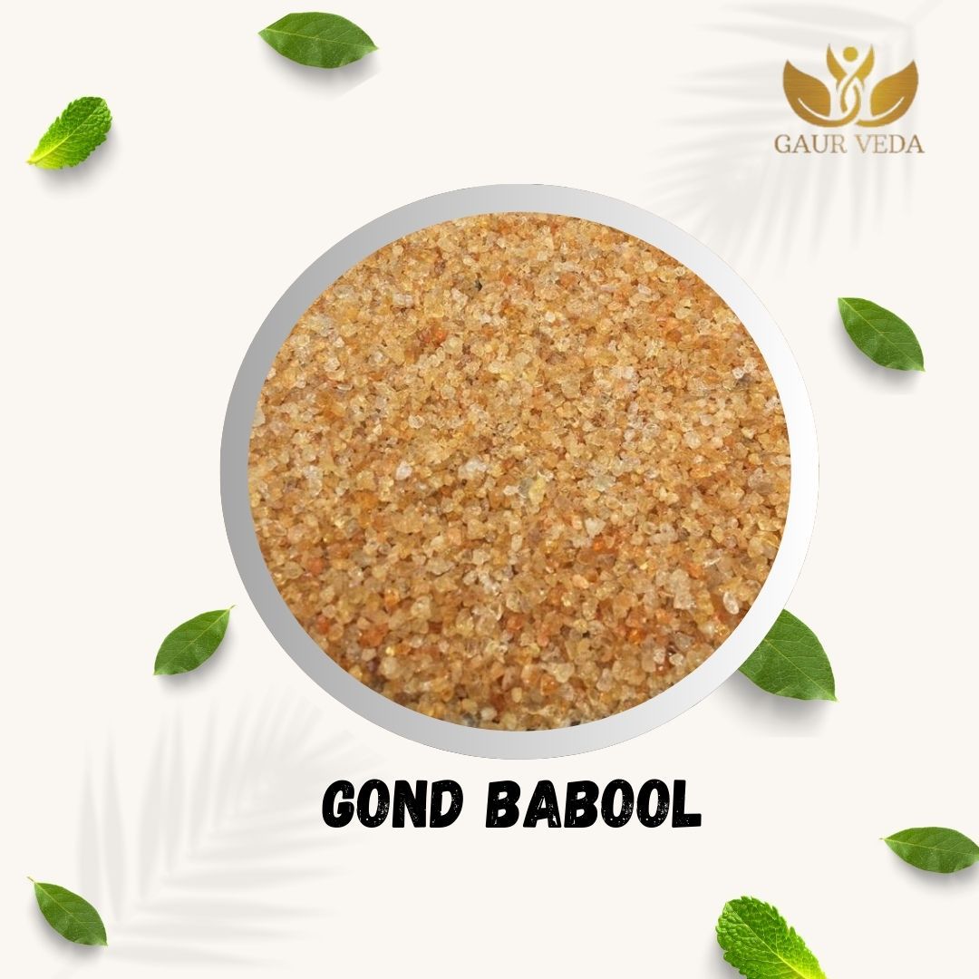 GAURVEDA Babool Gond | Gond for Laddu Making & Sweets | Edible Gum | Kikar/Gum Arabic | Pure & Natural (100 Grams)