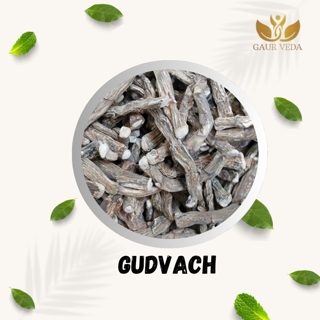 Gaurveda Gudbach - Gurbach - Acorus Calamus - Sweet Flag - Gudvach - Selected - Quality (100)