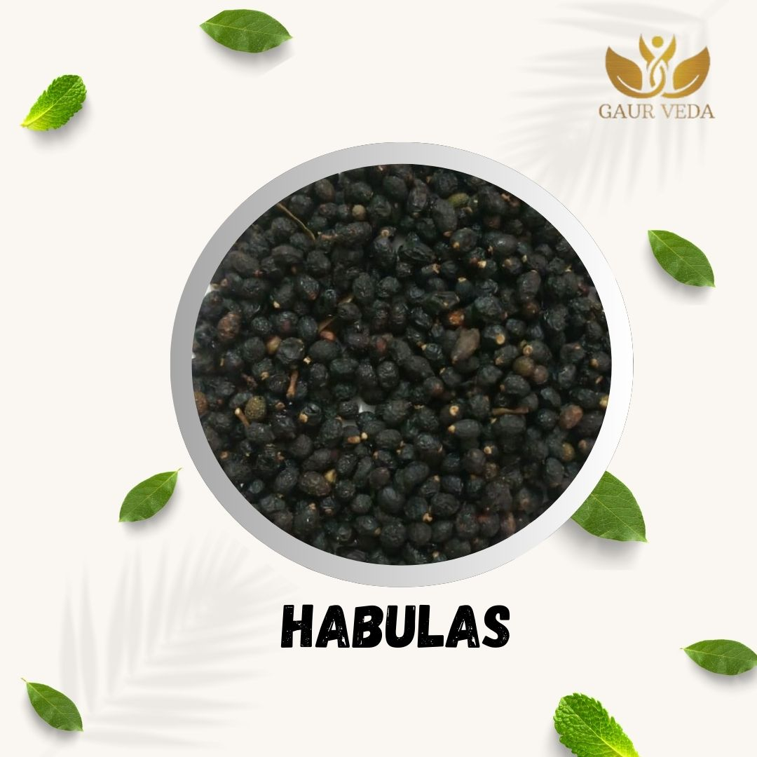 GAURVEDA Habulas 100% Natural & Pure | Traditional Ayurvedic Herb/Seed/Powder | Supports Wellness & Daily Health | Ideal for Herbal Remedies, 100 Grams