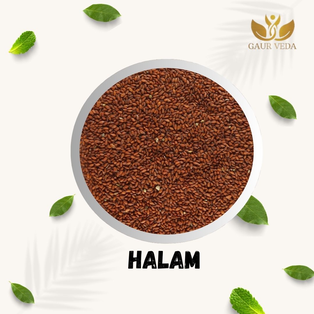 GAURVEDA Halim Seeds - Alive Seeds - Edible Seeds (200 Grams * 2 = 400 Grams, Halim Seeds)