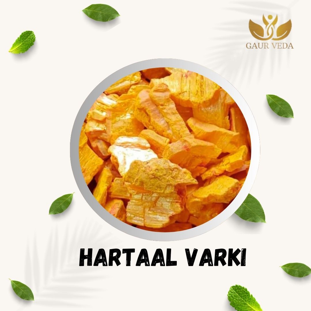 GAURVEDA Hartaal varki 100% Natural & Pure | Traditional Ayurvedic Herb/Seed/Powder | Supports Wellness & Daily Health | Ideal for Herbal Remedies, 100 Grams