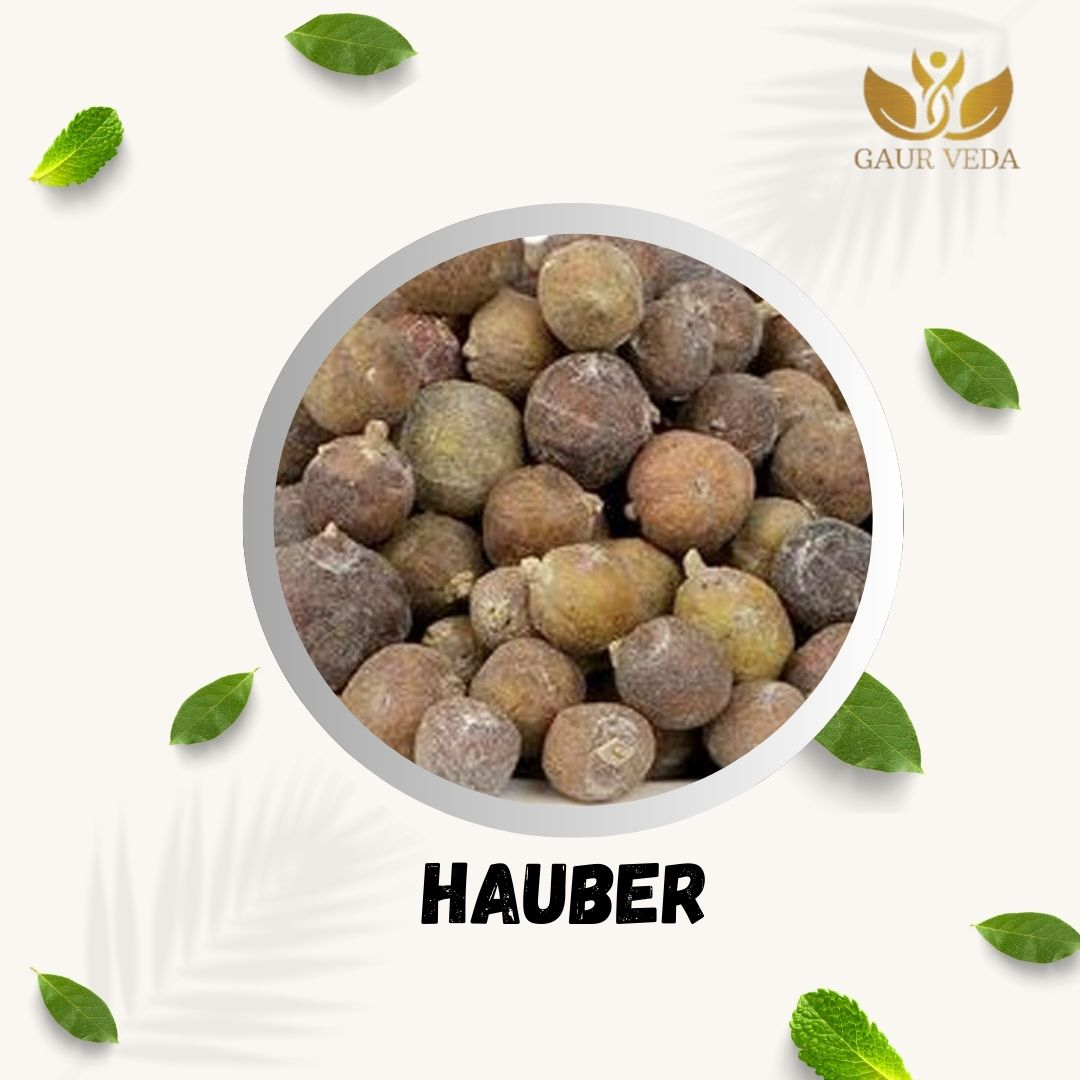 GAURVEDA Hauber 100% Natural & Pure | Traditional Ayurvedic Herb/Seed/Powder | Supports Wellness & Daily Health | Ideal for Herbal Remedies, 100 Grams