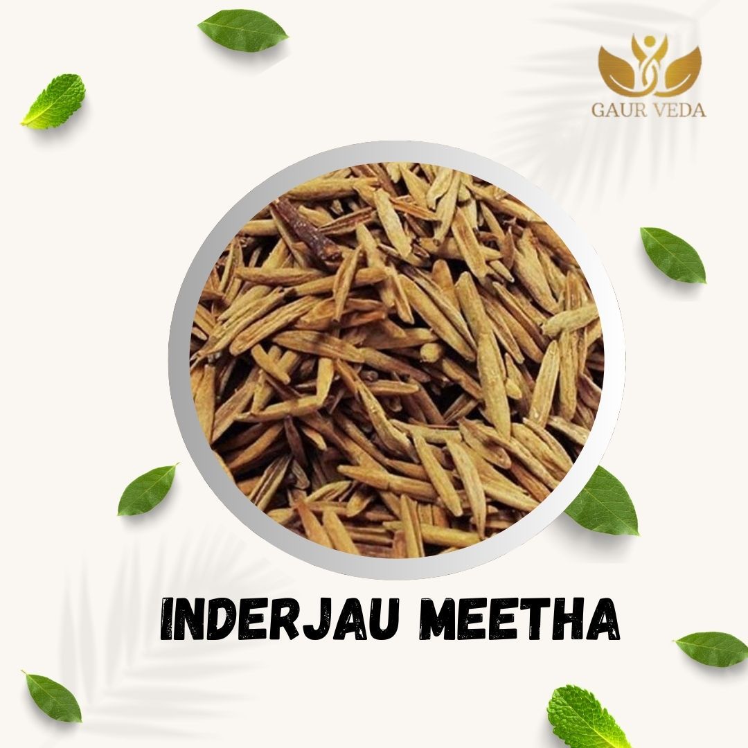 GAURVEDA Inderjau meetha 100% Natural & Pure | Traditional Ayurvedic Herb/Seed/Powder | Supports Wellness & Daily Health | Ideal for Herbal Remedies, 1000 Grams{29