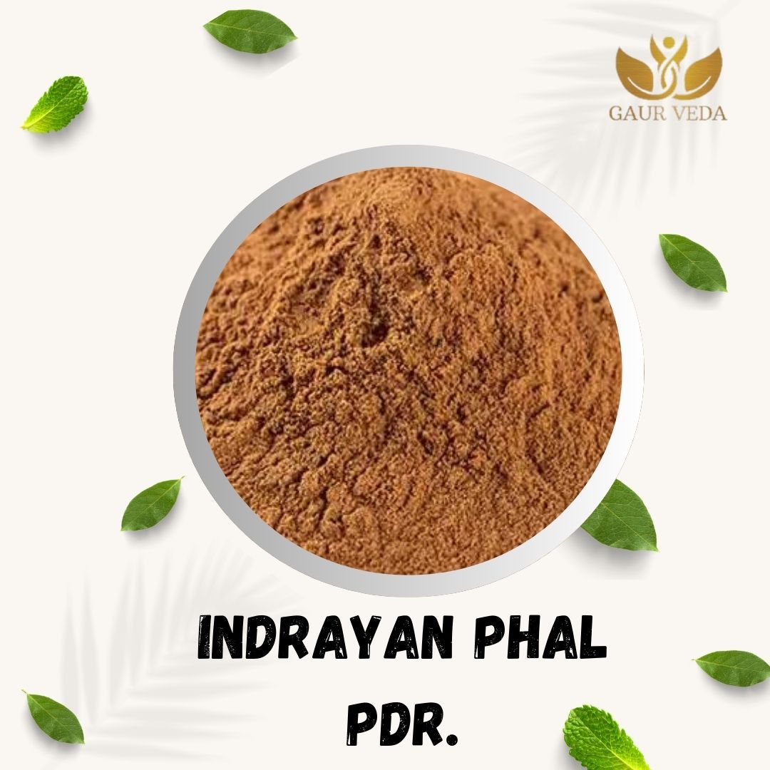 GAURVEDA Indrayan phal Powder 100% Natural & Pure | Traditional Ayurvedic Herb/Seed/Powder | Supports Wellness & Daily Health | Ideal for Herbal Remedies, 100 Grams{31