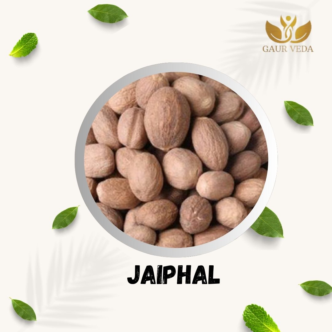 GAURVEDA Jaiphal (Nutmeg) - Spice | Rich Aroma & Flavor | Natural Whole Spice for Cooking, Baking & Ayurvedic Remedies | 100 Grams