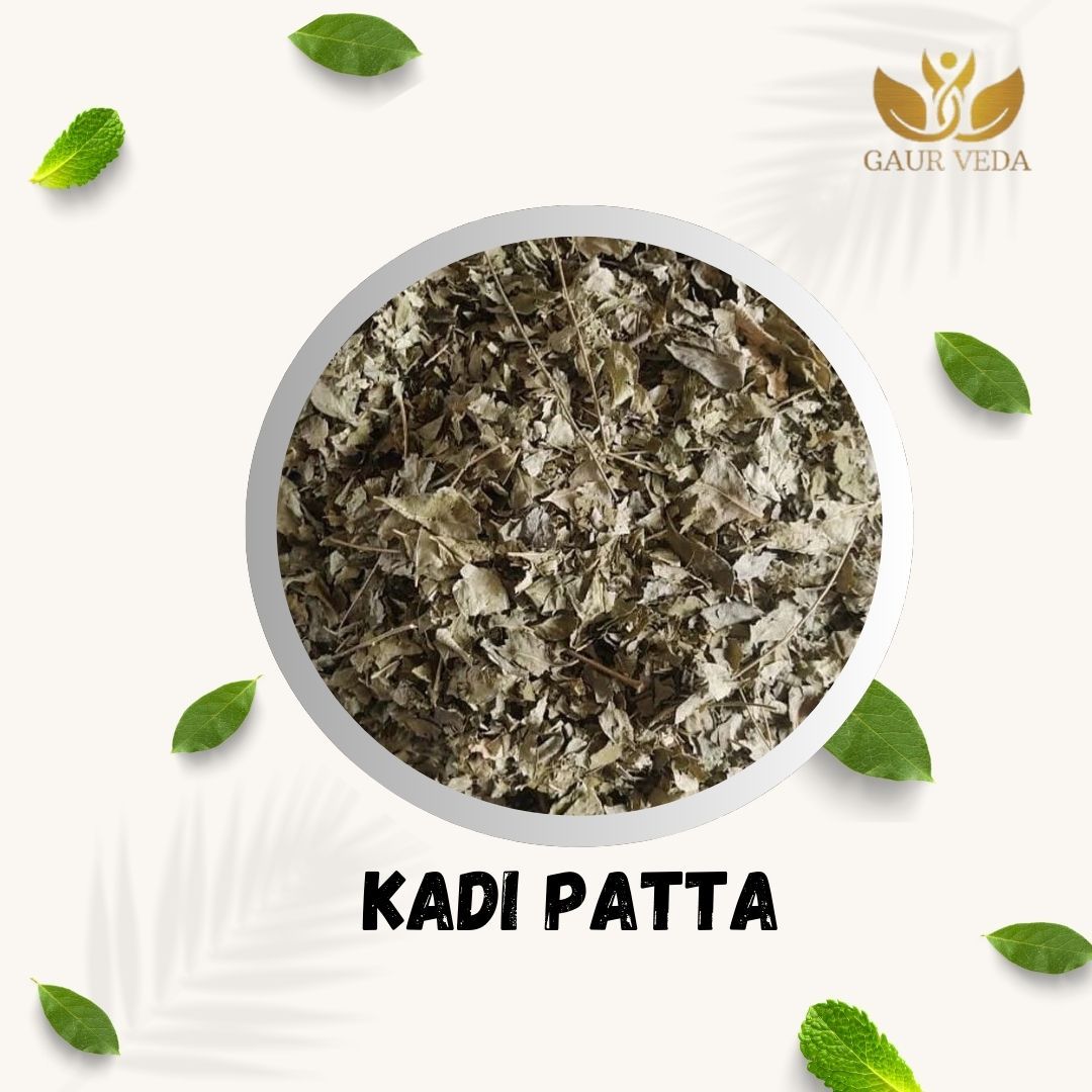 GAURVEDA Kadi patta 100% Natural & Pure | Traditional Ayurvedic Herb/Seed/Powder | Supports Wellness & Daily Health | Ideal for Herbal Remedies, 100 Grams{45