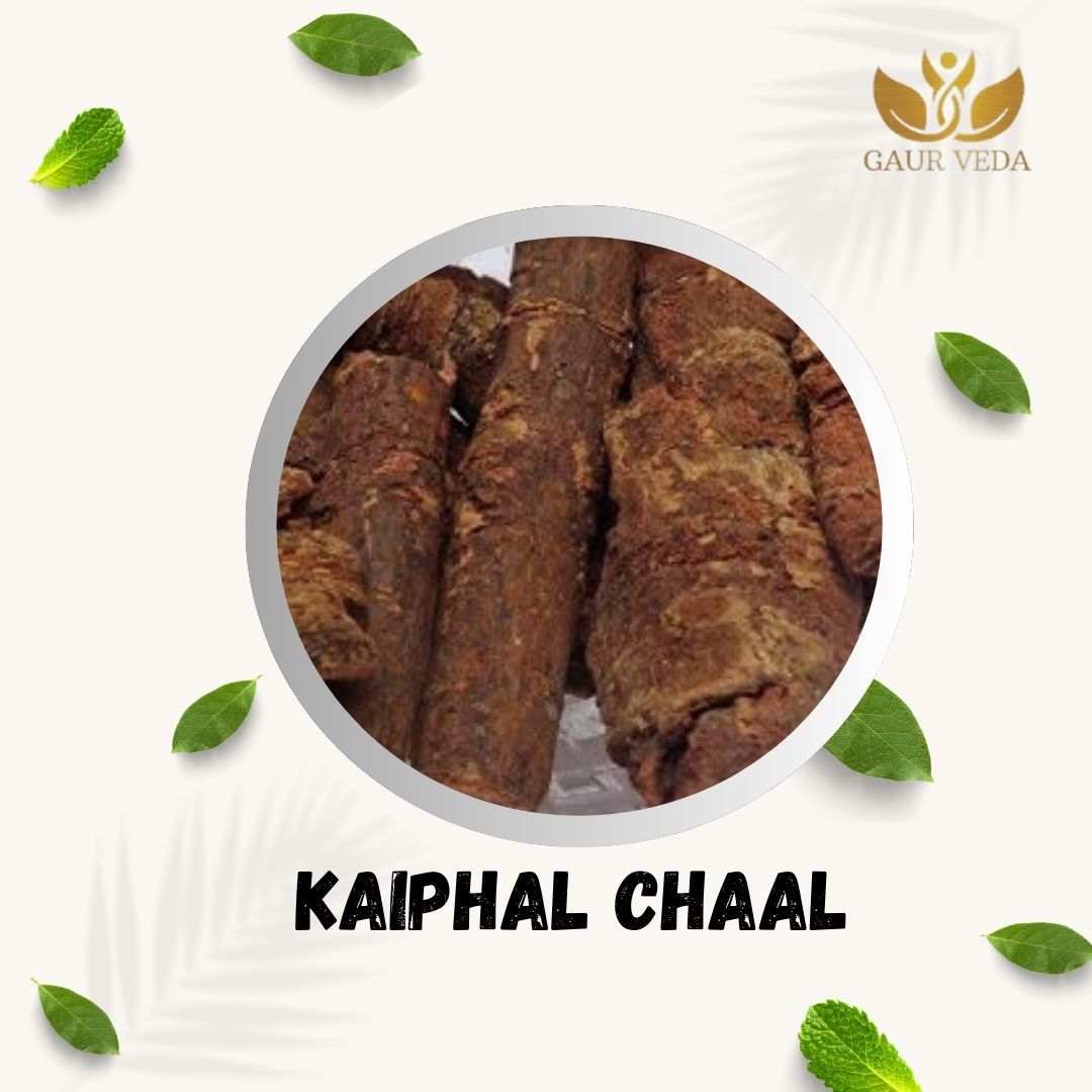 GAURVEDA Kaiphal 100% Natural & Pure | Traditional Ayurvedic Herb/Seed/Powder | Supports Wellness & Daily Health | Ideal for Herbal Remedies, 100 Grams