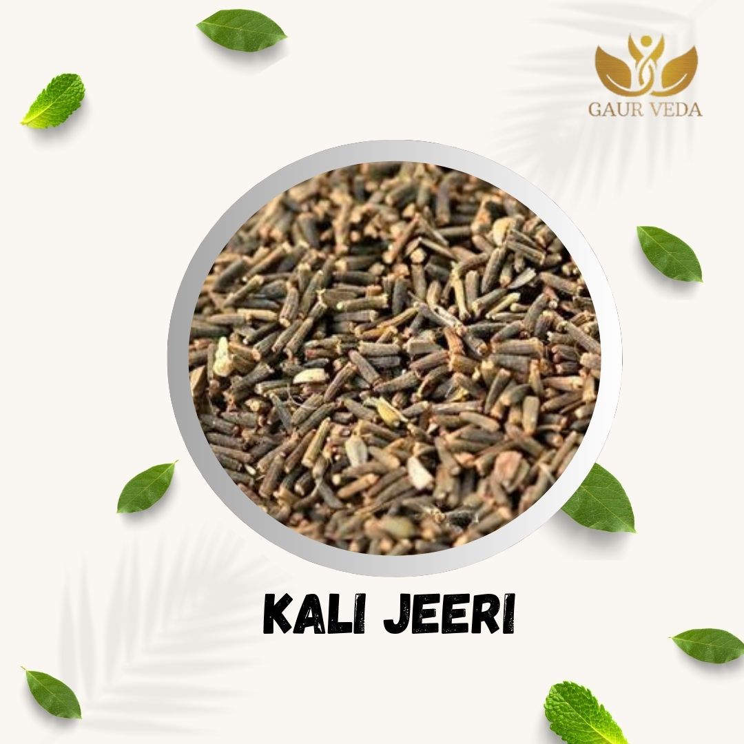 GAURVEDA Kali Jeeri Seeds - Authentic Black Cumin for Traditional Wellness, Digestive Support, and Natural Health Benefits - Spice | 900 Grams