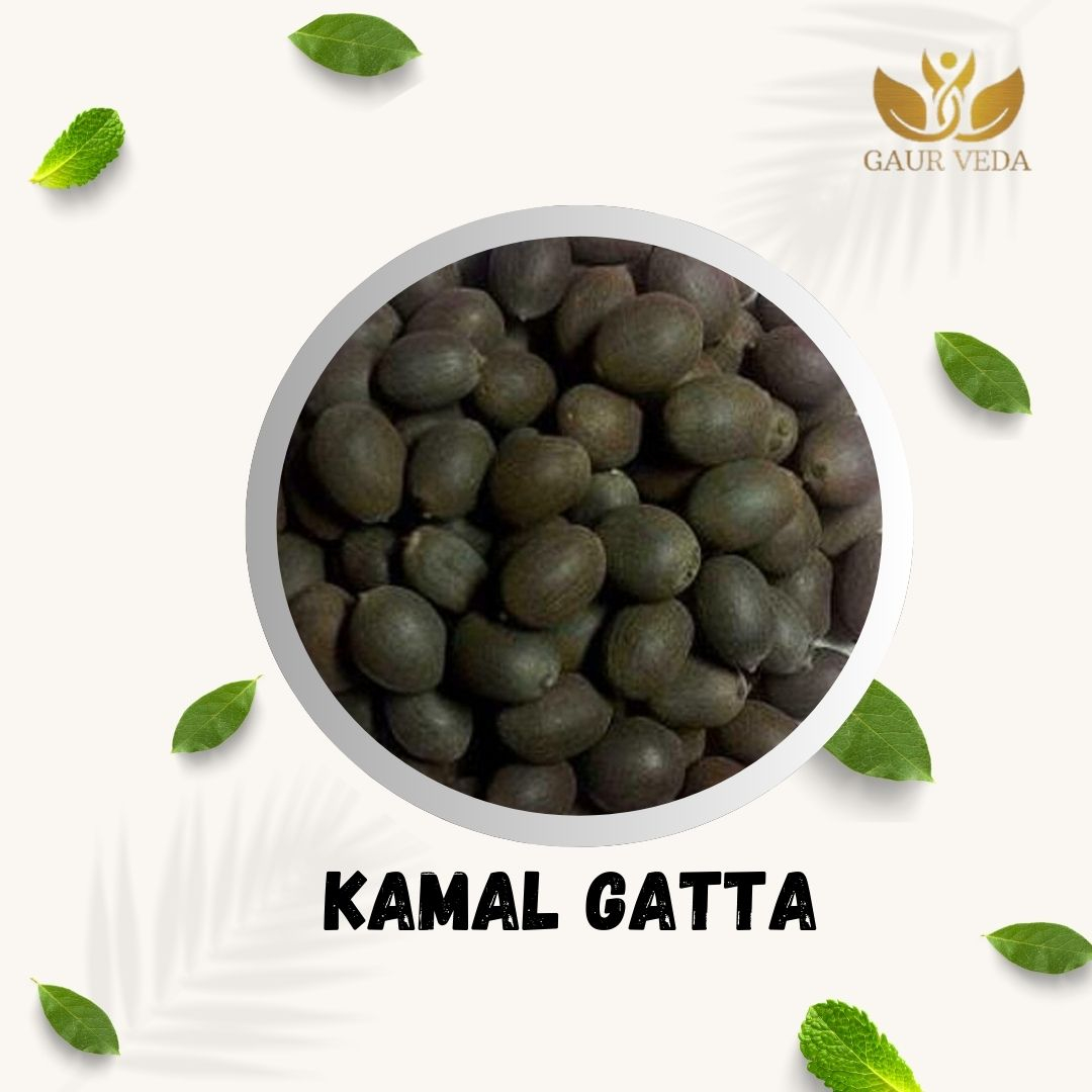 Gaurveda Kamal Gatta - Nelumbo Nucifera Gaertn - Lotus Seeds (100 Grams)