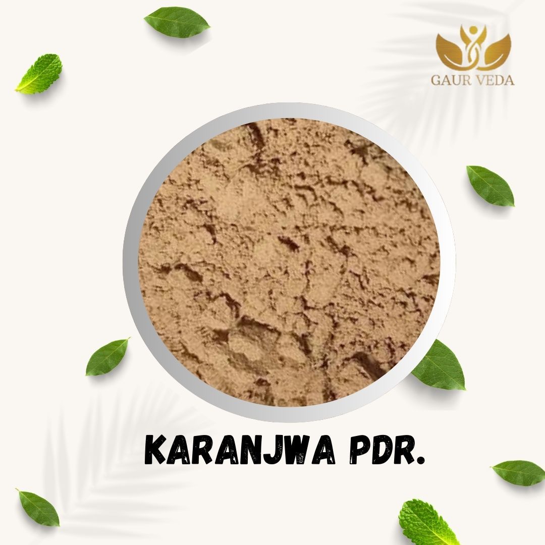 GAURVEDA Karanjwa Seed Powder - Natural Support, Traditional Herb, Pure & Authentic beej Churna for Overall Wellness | Ayurvedic Supplement | 100 Grams