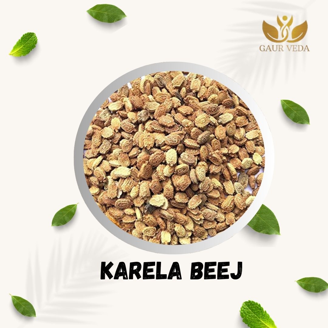 GAURVEDA Karela Beej | Bitter Gourd Seeds | Nutrient-Rich Superfood | Traditional Ayurvedic Herb | Supports Healthy Living & Wellness - Natural Goodness | 100 Grams