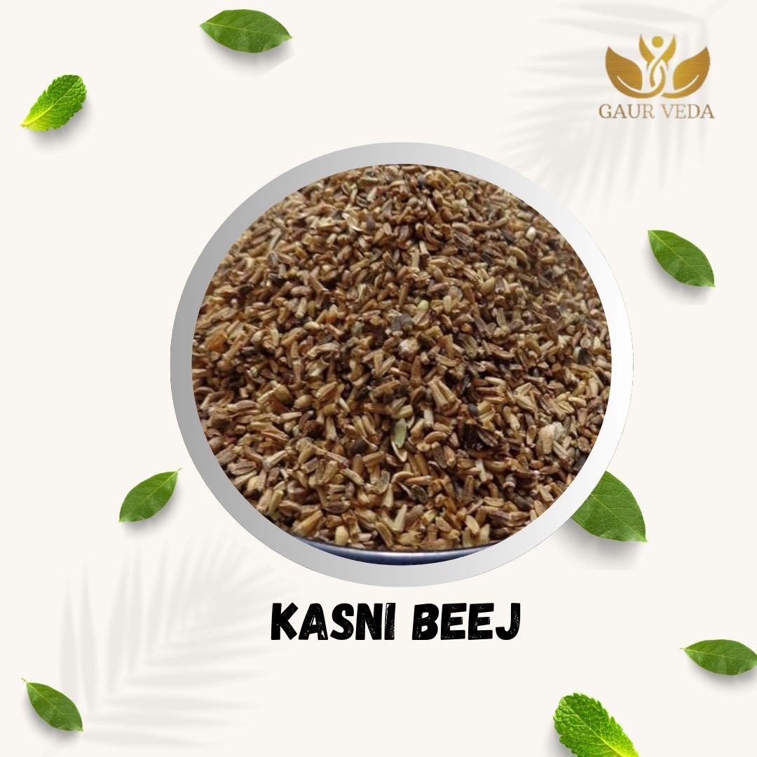 GAURVEDA Kasni Beej Seeds - Natural Chicory Seeds for Healthy Living | Supports Digestion, Liver Health & Overall Wellness - Pure & Authentic | 100 Grams