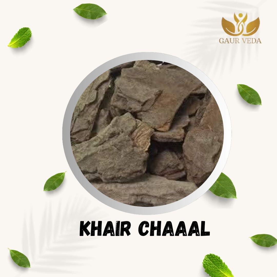 GAURVEDA Khair chaal 100% Natural & Pure | Traditional Ayurvedic Herb/Seed/Powder | Supports Wellness & Daily Health | Ideal for Herbal Remedies, 100 Grams