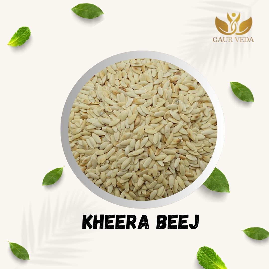 GAURVEDA Kheera Beej (Cucumber Seeds)   Nutrient-Rich Superfood, Healthy Snack, Traditional Indian Seed, Fresh & Natural, Garden Seeds | 100 Grams