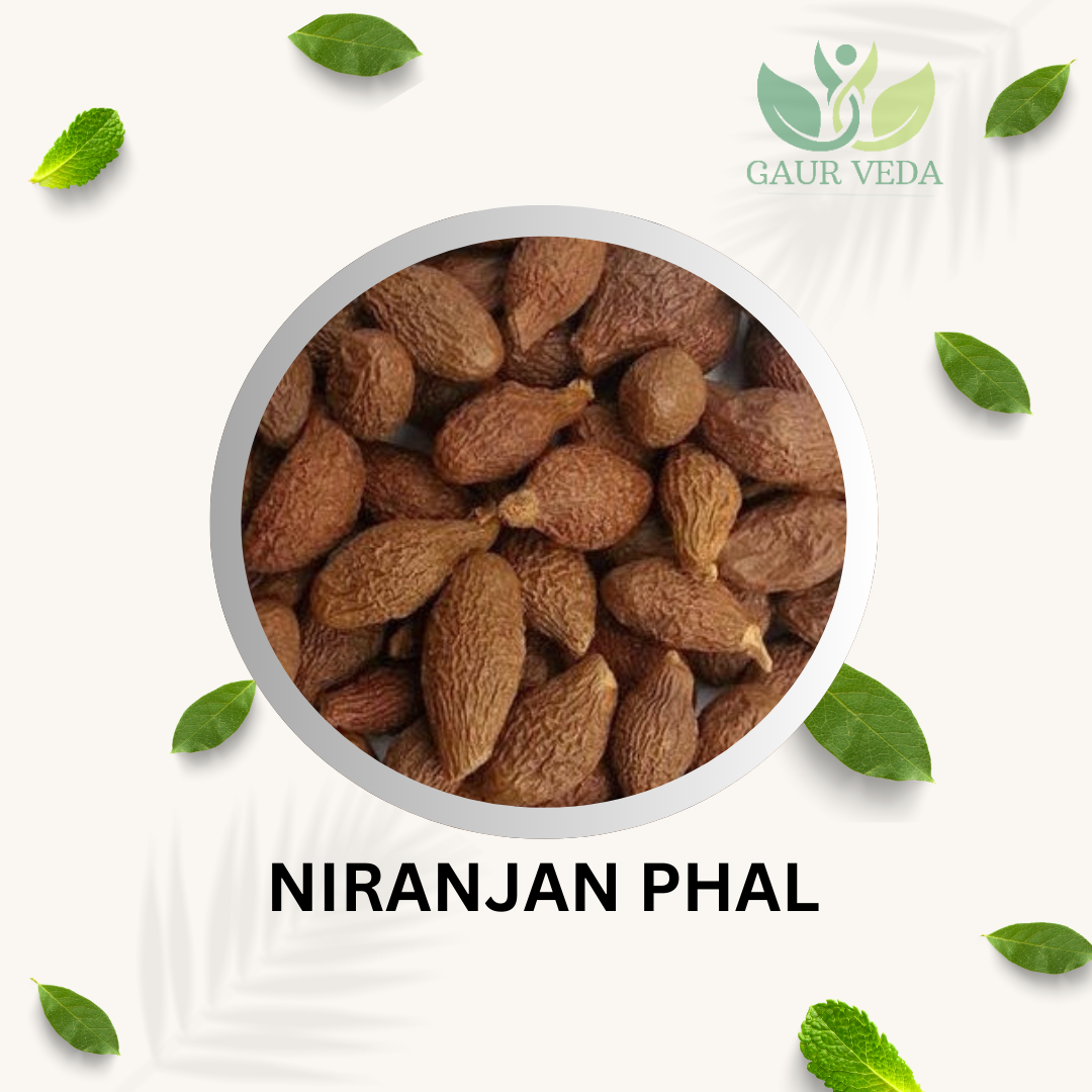 GAURVEDA Niranjan phal 100% Natural & Pure | Traditional Ayurvedic Herb/Seed/Powder | Supports Wellness & Daily Health | Ideal for Herbal Remedies, 100 Grams