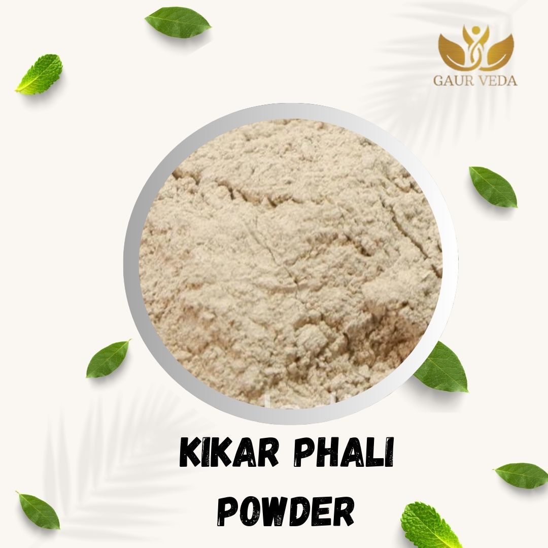 GAURVEDA Kikar phali Powder 100% Natural & Pure | Traditional Ayurvedic Herb/Seed/Powder | Supports Wellness & Daily Health | Ideal for Herbal Remedies, 200 Grams
