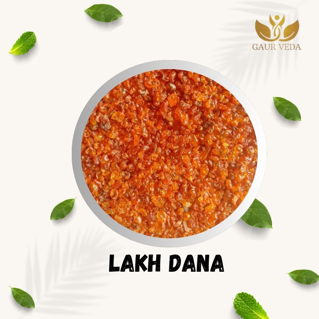 GAURVEDA Lakh Dana 100% Natural & Pure | Traditional Ayurvedic Herb/Seed/Powder | Supports Wellness & Daily Health | Ideal for Herbal Remedies, 100 Grams