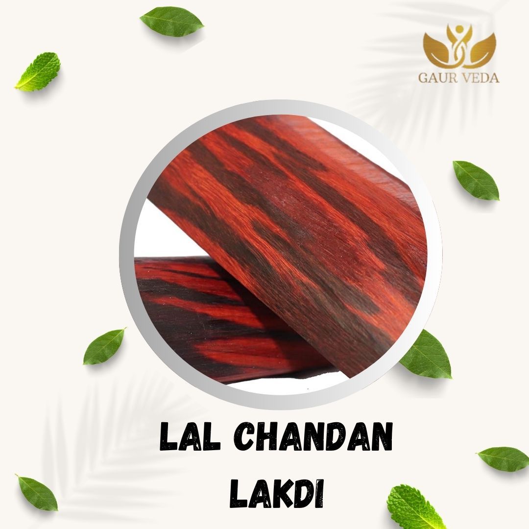 GAURVEDA Chandan Stick Red - Red Sandalwood Stick   Natural Lal Chandan for Spiritual Rituals and Meditation (2 Stick)