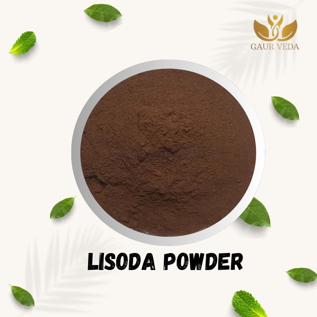 GAURVEDA Lisoda Powder 100% Natural & Pure | Traditional Ayurvedic Herb/Seed/Powder | Supports Wellness & Daily Health | Ideal for Herbal Remedies, 1000 Grams{99
