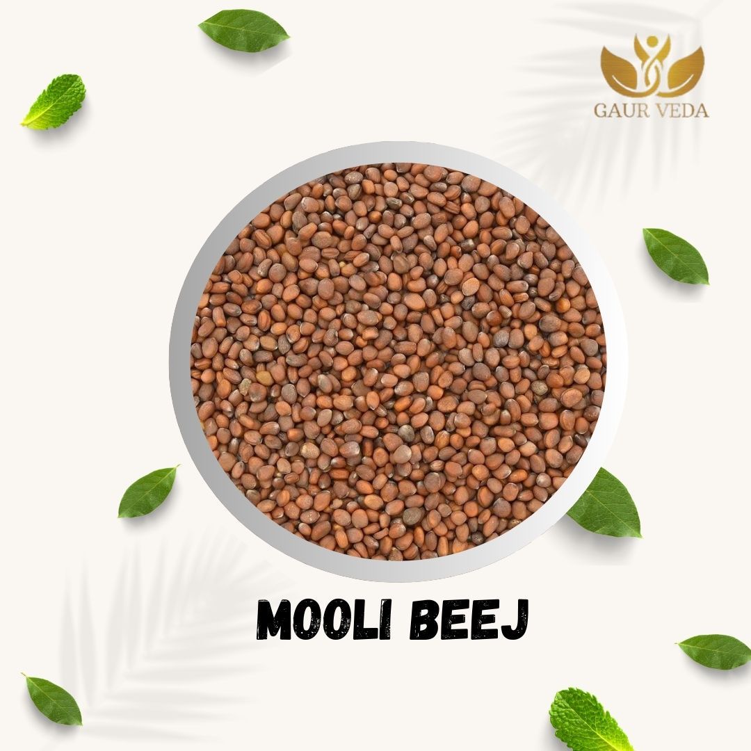 GAURVEDA Mooli Beej (Radish Seeds) - for Home Gardening & Healthy Eating | Grow Your Own Radishes! | 100 Grams