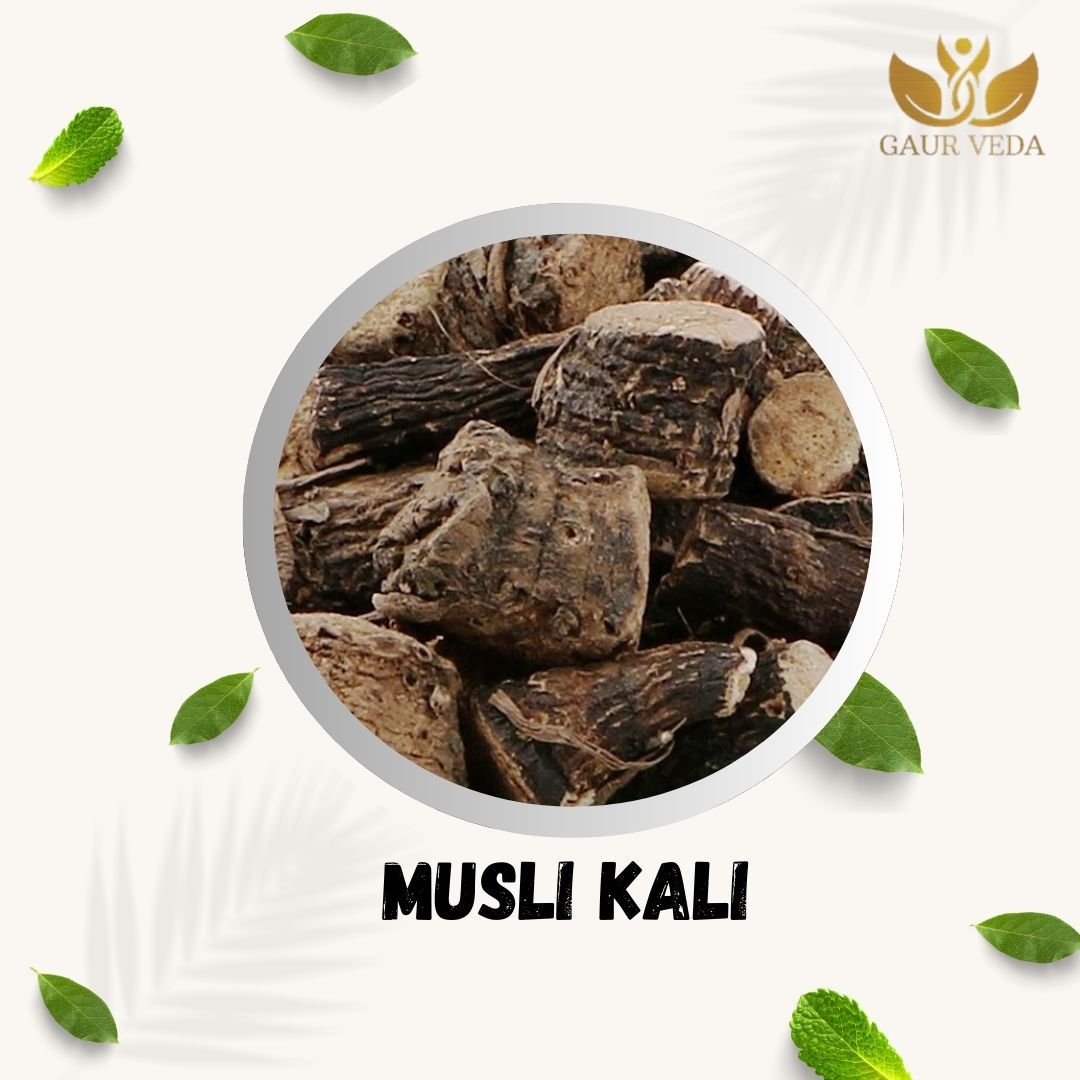 Gaurveda Musli Kali - Curculigo Orchiodes - Black Musli - Pure & Natural (100)