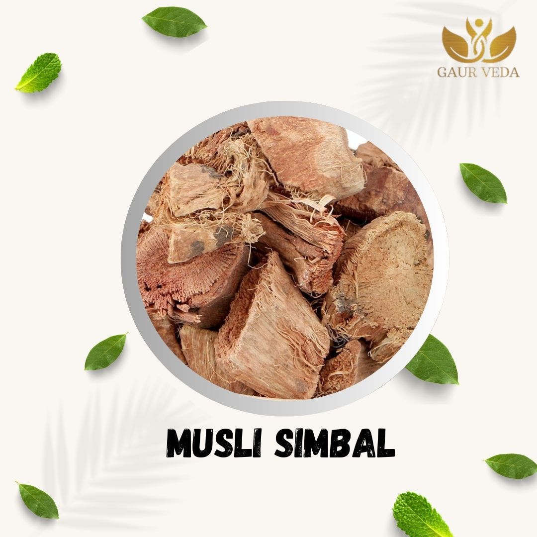 GAURVEDA Musli simbal 100% Natural & Pure | Traditional Ayurvedic Herb/Seed/Powder | Supports Wellness & Daily Health | Ideal for Herbal Remedies, 250 Grams