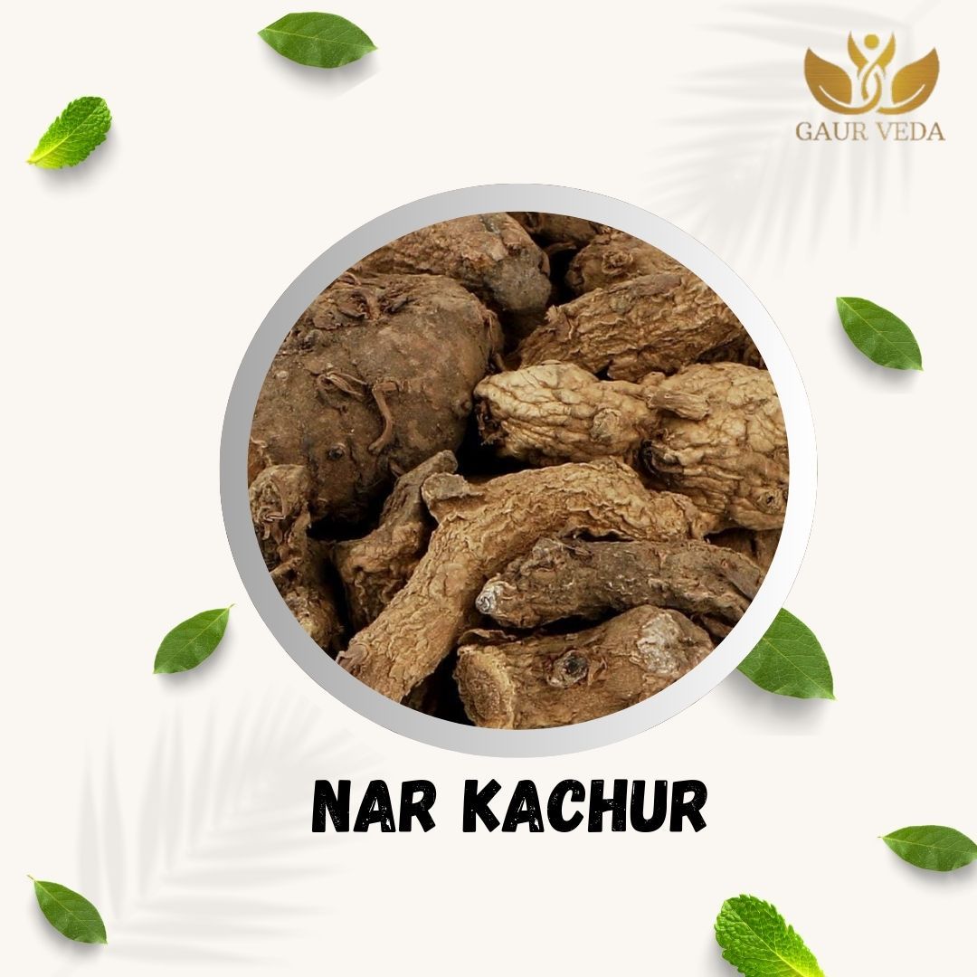 GAURVEDA NAR kachur 100% Natural & Pure | Traditional Ayurvedic Herb/Seed/Powder | Supports Wellness & Daily Health | Ideal for Herbal Remedies, 150 Grams