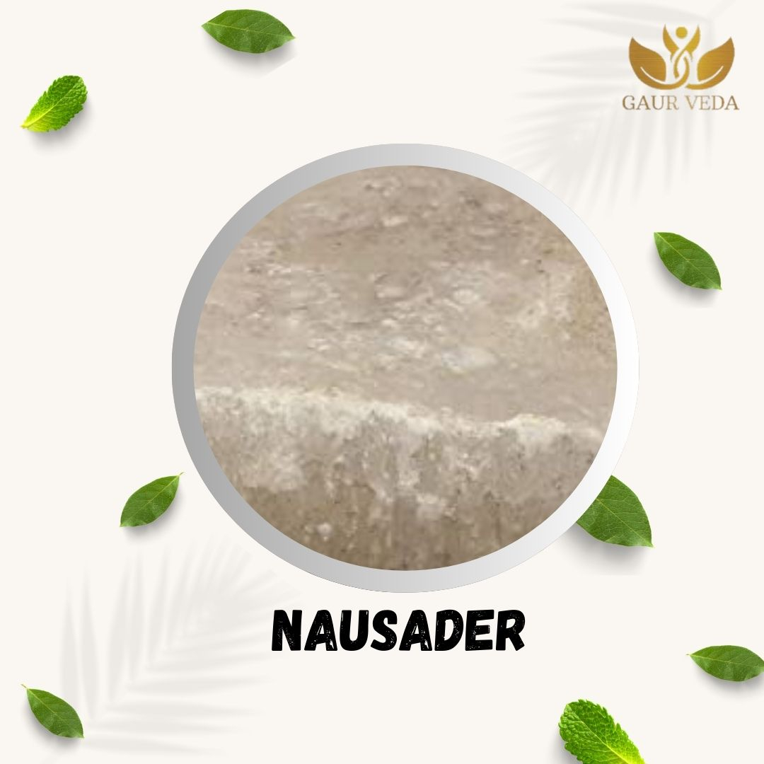 GAURVEDA Nausader 100% Natural & Pure | Traditional Ayurvedic Herb/Seed/Powder | Supports Wellness & Daily Health | Ideal for Herbal Remedies, 1000 Grams{145
