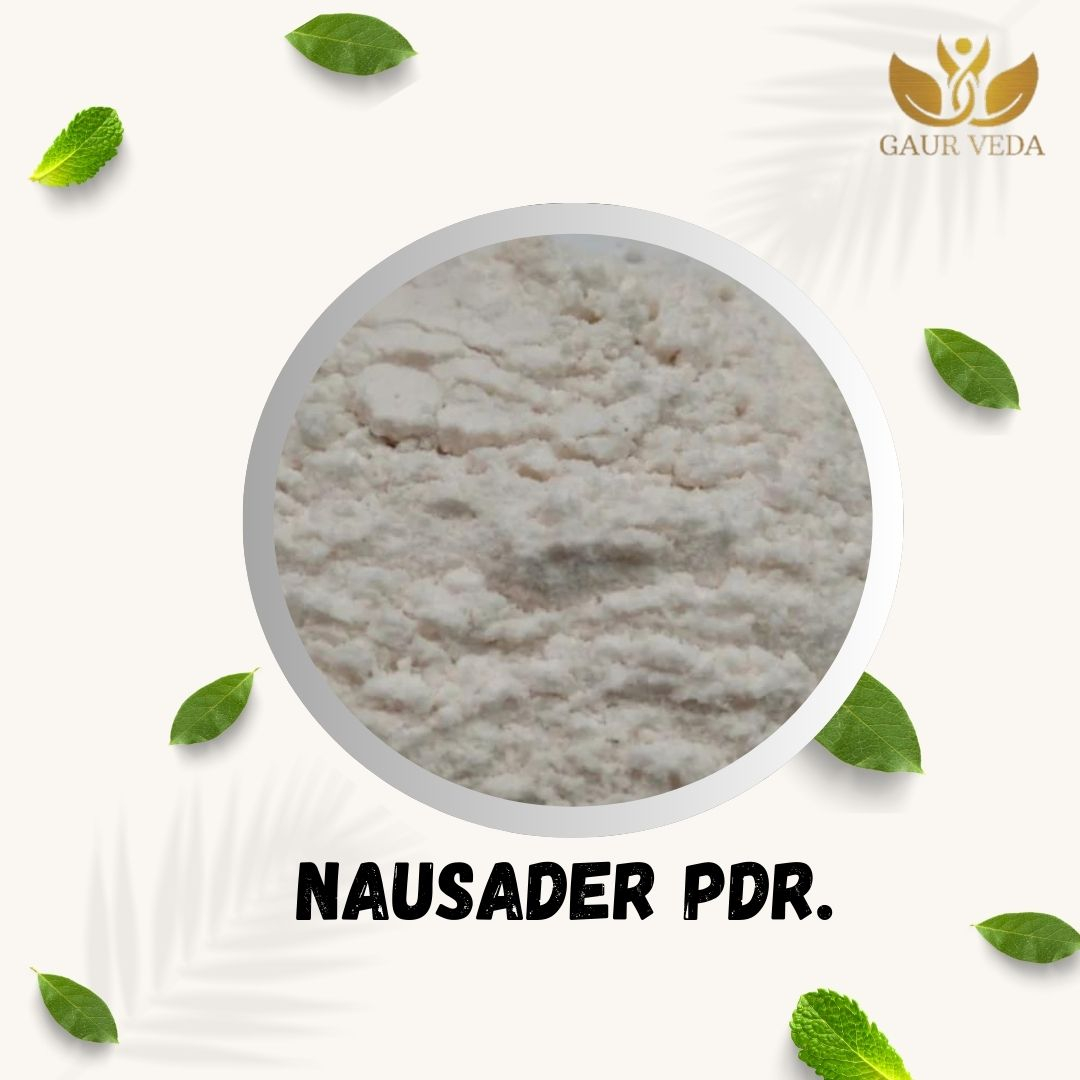 GAURVEDA Nausader Powder 100% Natural & Pure | Traditional Ayurvedic Herb/Seed/Powder | Supports Wellness & Daily Health | Ideal for Herbal Remedies, 1000 Grams{146