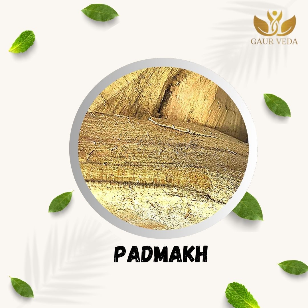 GAURVEDA Padmakh 100% Natural & Pure | Traditional Ayurvedic Herb/Seed/Powder | Supports Wellness & Daily Health | Ideal for Herbal Remedies, 100 Grams