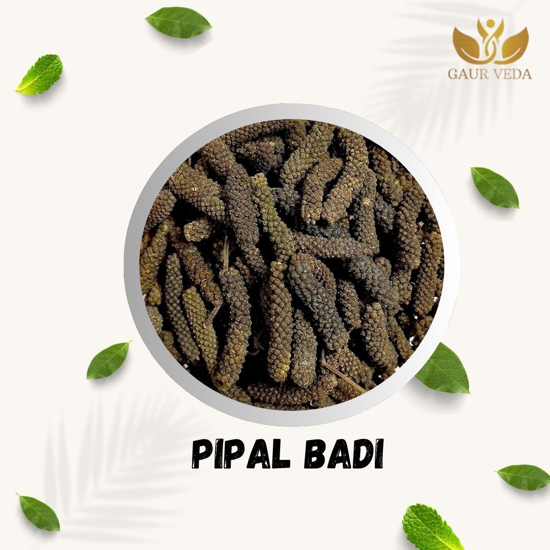 GAURVEDA Pipal Badi   Authentic Indian Spice, Traditional Recipe, Natural Ingredients, Aromatic Flavor, Homemade Taste, Freshly Prepared Food | 50 Grams