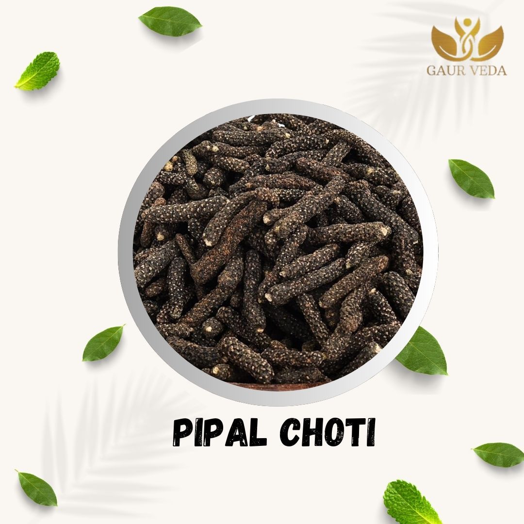 GAURVEDA Pipal Choti: A Natural Ayurvedic Herb, Authentic Indian Spice, Wellness & Traditional Remedy, Pure & Fresh (Pack of 1) | 100 Grams
