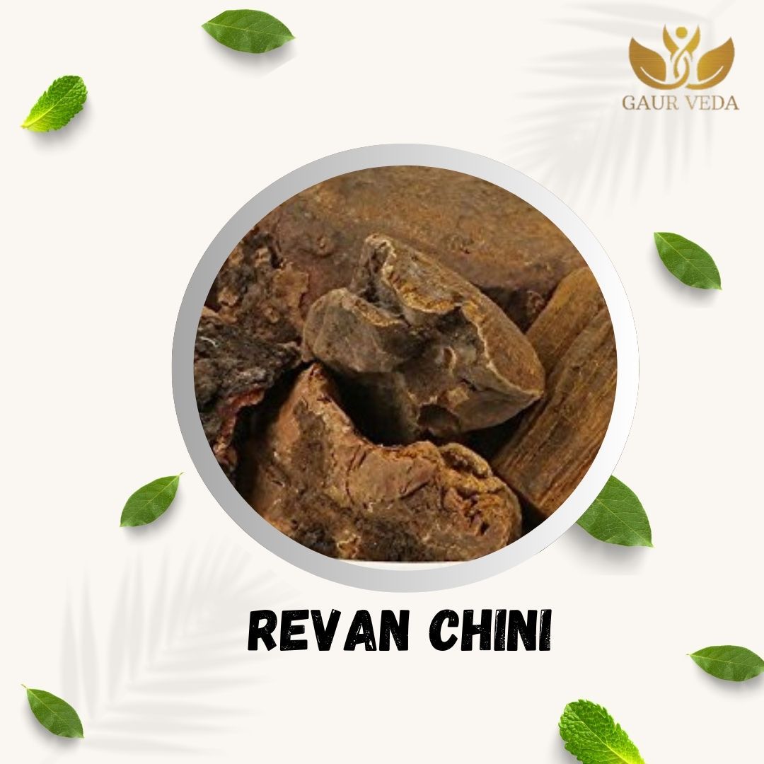 GAURVEDA Revan chini 100% Natural & Pure | Traditional Ayurvedic Herb/Seed/Powder | Supports Wellness & Daily Health | Ideal for Herbal Remedies, 100 Grams