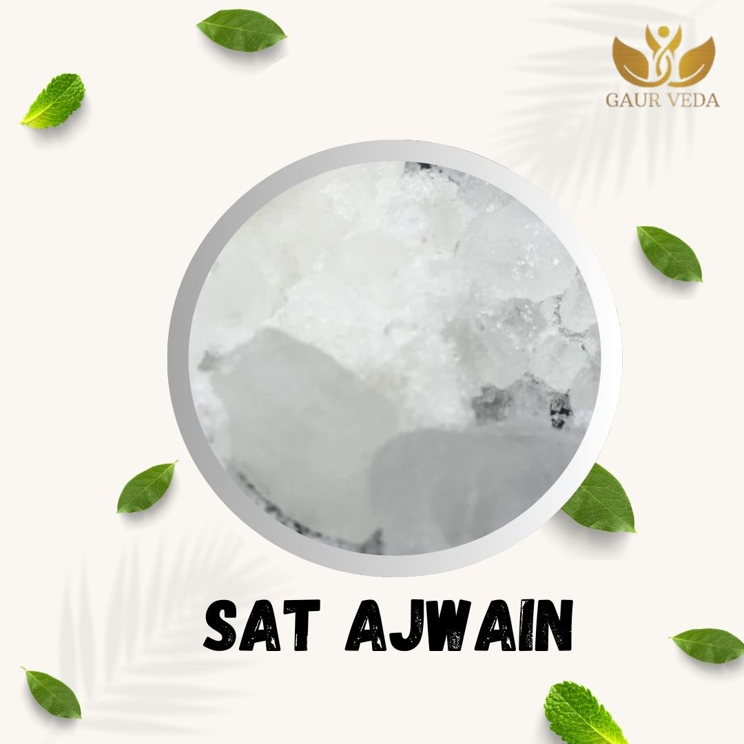 Gaurveda Thymol - Sat Ajwaain - Trachyspermum - Ammi Sprague - Pure & Natural (50 Grams)